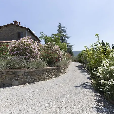 Ai Cedri Villa Cortone